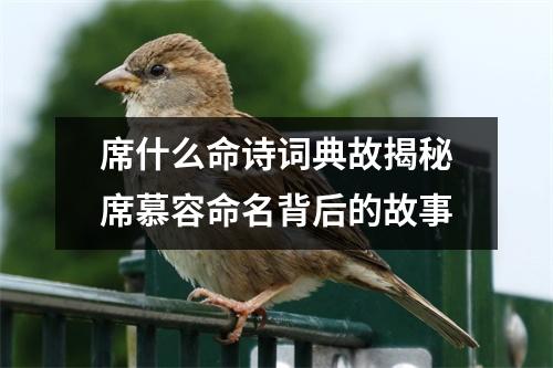 席什么命诗词典故揭秘席慕容命名背后的故事