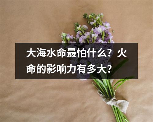 大海水命最怕什么？火命的影响力有多大？