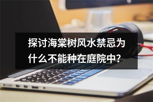 探讨海棠树风水禁忌为什么不能种在庭院中？