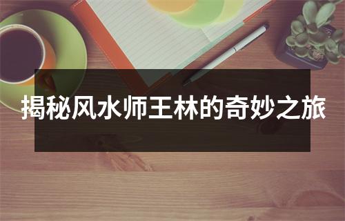 揭秘风水师王林的奇妙之旅