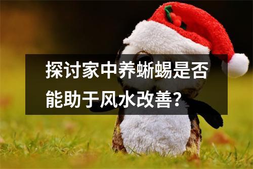 探讨家中养蜥蜴是否能助于风水改善？