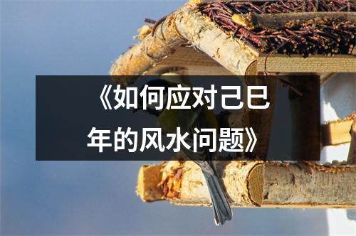 《如何应对己巳年的风水问题》