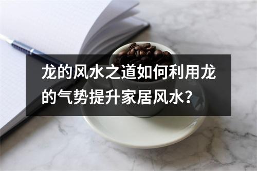 龙的风水之道如何利用龙的气势提升家居风水？