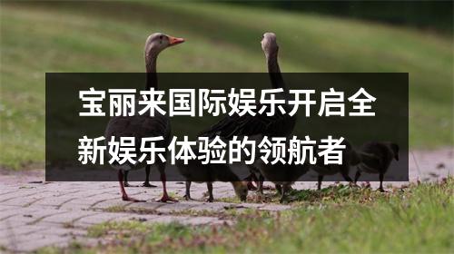 宝丽来国际娱乐开启全新娱乐体验的领航者