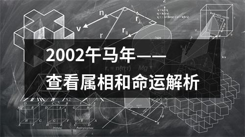 2002午马年——查看属相和命运解析