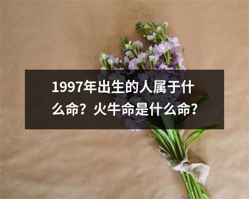 1997年出生的人属于什么命？火牛命是什么命？