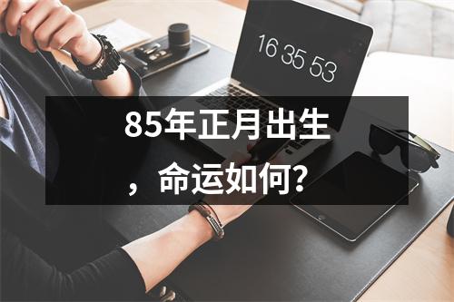 85年正月出生，命运如何？