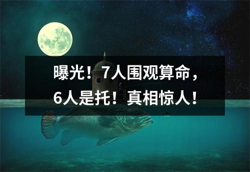 曝光！7人围观算命，6人是托！真相惊人！