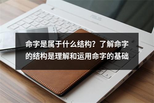 命字是属于什么结构？了解命字的结构是理解和运用命字的基础