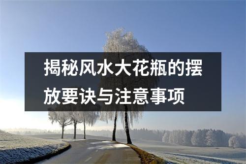 揭秘风水大花瓶的摆放要诀与注意事项