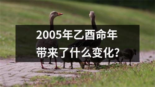 2005年乙酉命年带来了什么变化？