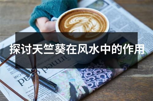 探讨天竺葵在风水中的作用