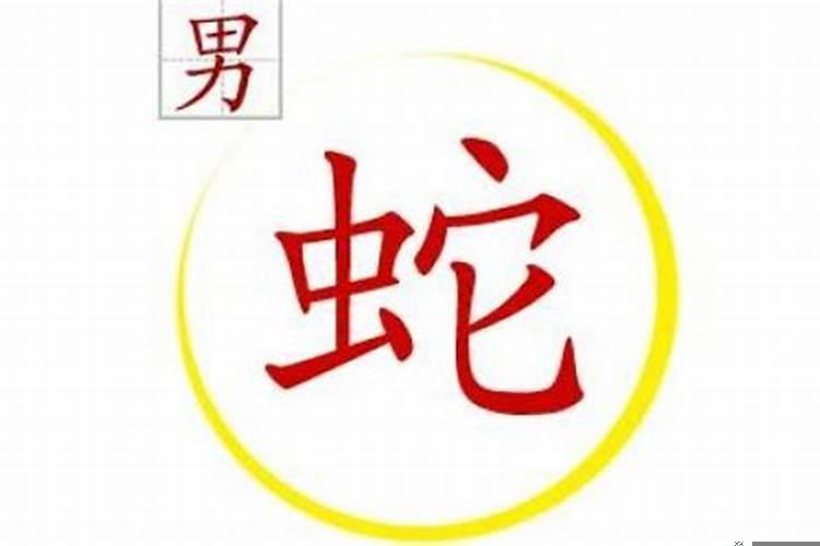 属鼠的起公司名字什么好？企业名称用什么字体好