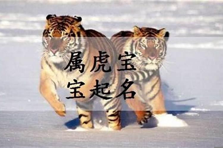 属老虎的男孩起什么名字好？虎宝宝取什么名字好听