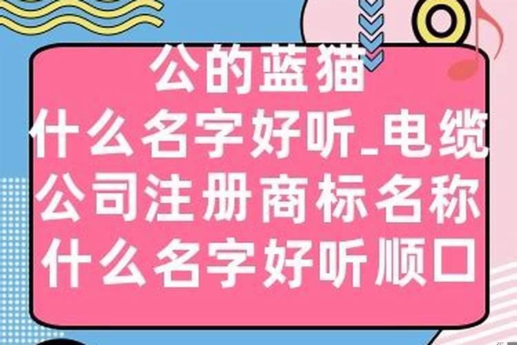 公司注册什么名字好听？公司名称用什么名字好