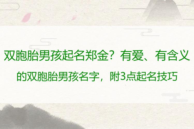 双胞胎男孩起名郑金？有爱、有含义的双胞胎男孩名字，附3点起名技巧