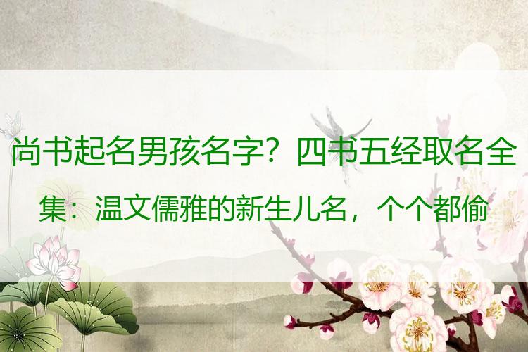 尚书起名男孩名字？四书五经取名全集：温文儒雅的新生儿名，个个都偷走了少年心