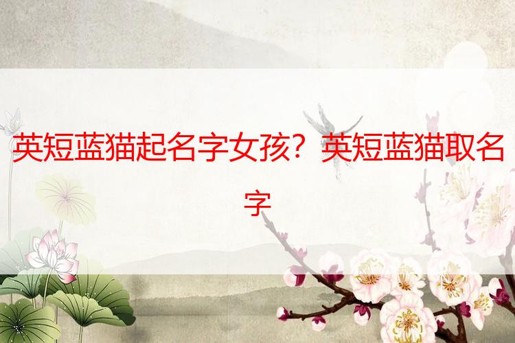 英短蓝猫起名字女孩？英短蓝猫取名字