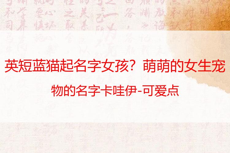 英短蓝猫起名字女孩？萌萌的女生宠物的名字卡哇伊-可爱点