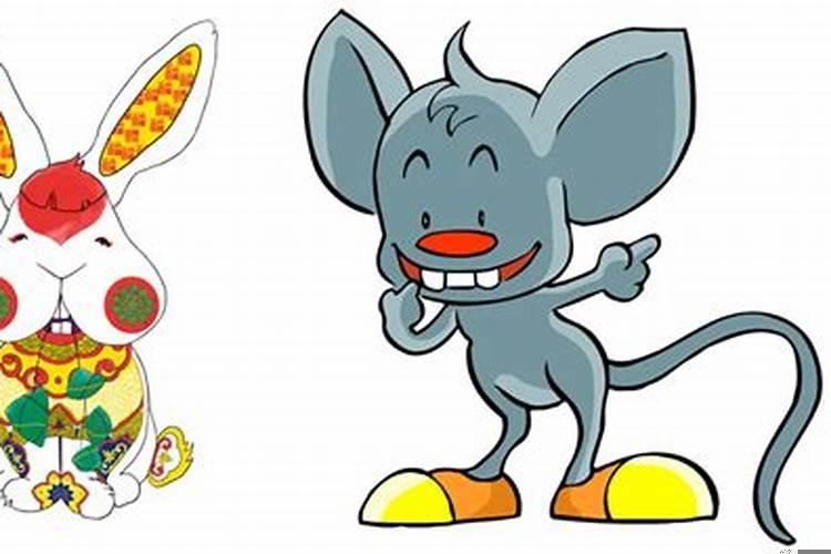 男属兔与女属鼠相配吗？女属兔和男属鼠合不合