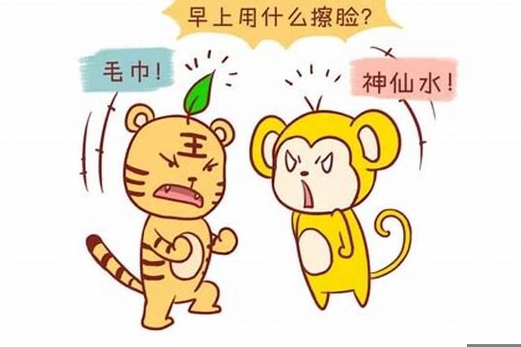 属虎女和属猴男相配吗婚姻？男猴女虎婚配合适吗