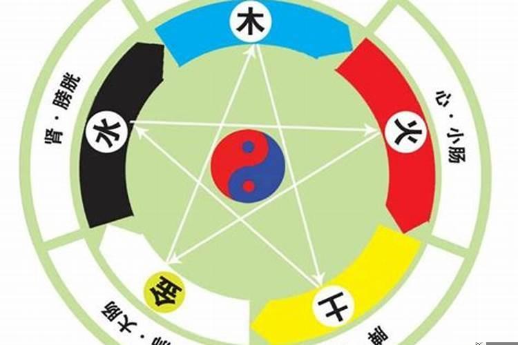 属相婚配有什么依据？合婚只看生肖吗