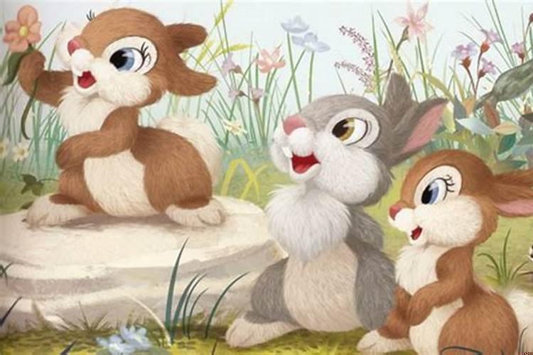 属兔人的婚配生肖什么最好？属兔的人婚配属相