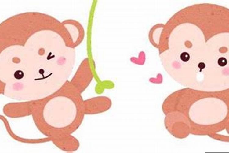 属猴的和哪几个属相不合？属猴和什么生肖不合婚配好