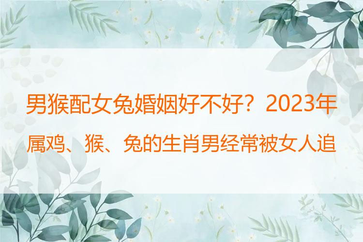 男猴配女兔婚姻好不好？2023年属鸡、猴、兔的生肖男经常被女人追求，艳福不浅！
