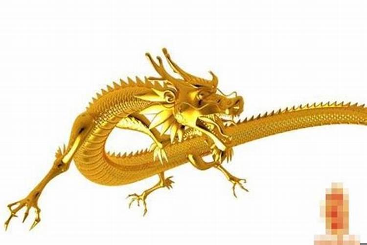 属龙人生于哪天好？属猪的什么时候财运好