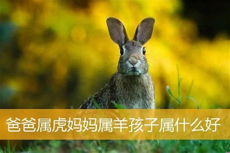 父亲属羊母亲属虎孩子属什么好？属虎的男宝宝好吗?
