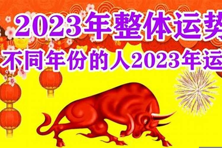 属牛2023年整体运势