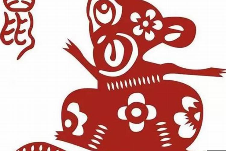 反贼指哪个生肖？大帅是指什么生肖