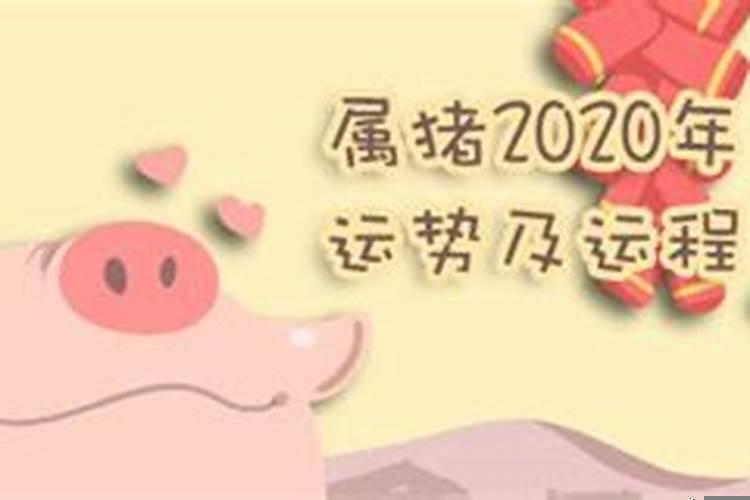 2023年的属猪的运势牛年属猪的运势