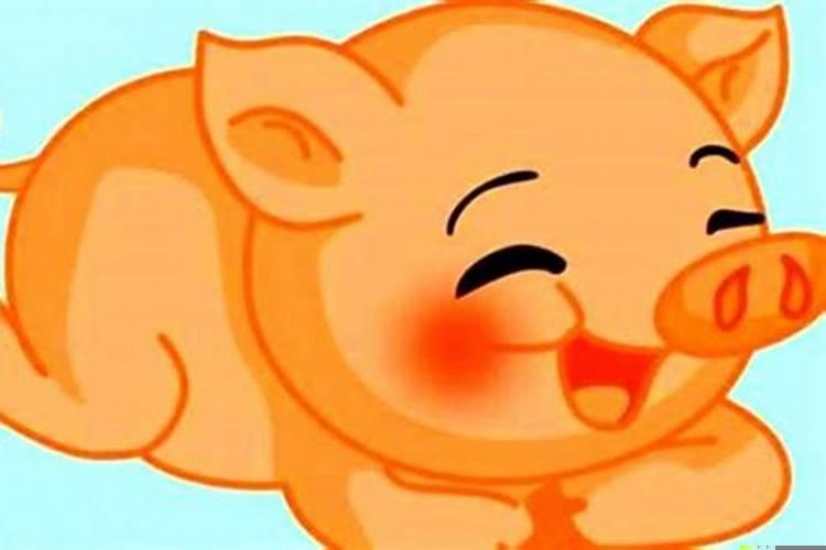 属猪的和什么属相的人最合适结婚？属猪的和什么生肖最匹配