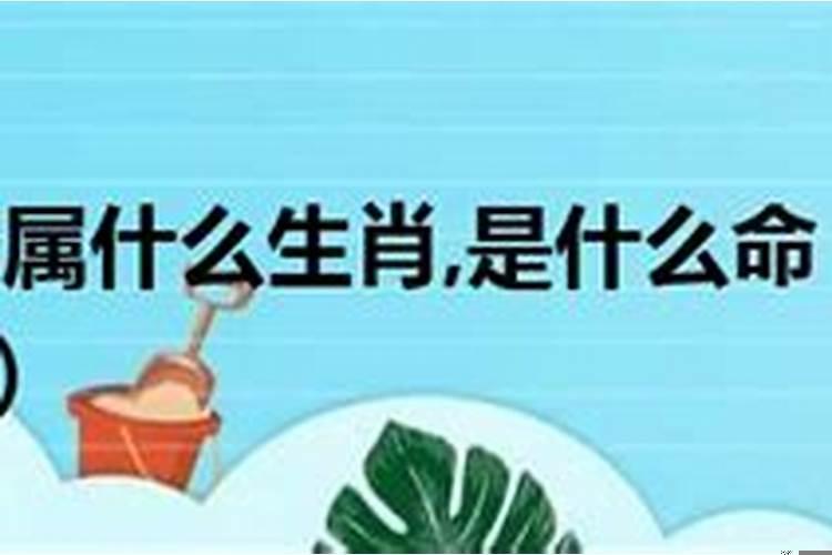 1952年属什么生肖？？1952年属龙属于什么命