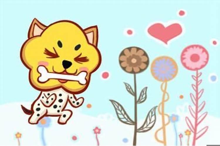 82年属狗女感情婚姻运势如何？属狗女为什么这么虚伪