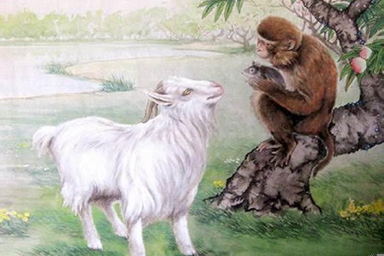 属羊跟属猴合作