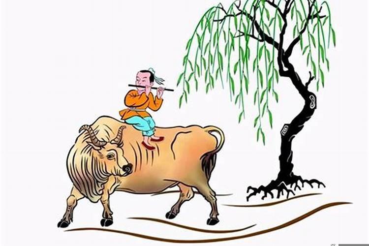 春夏秋冬有肥猪指什么生肖？83年属猪的命运好不好