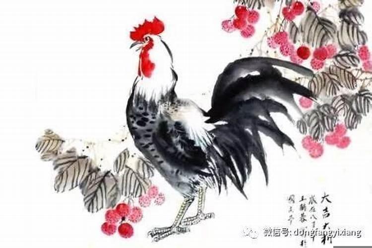 酉鸡牛年运势