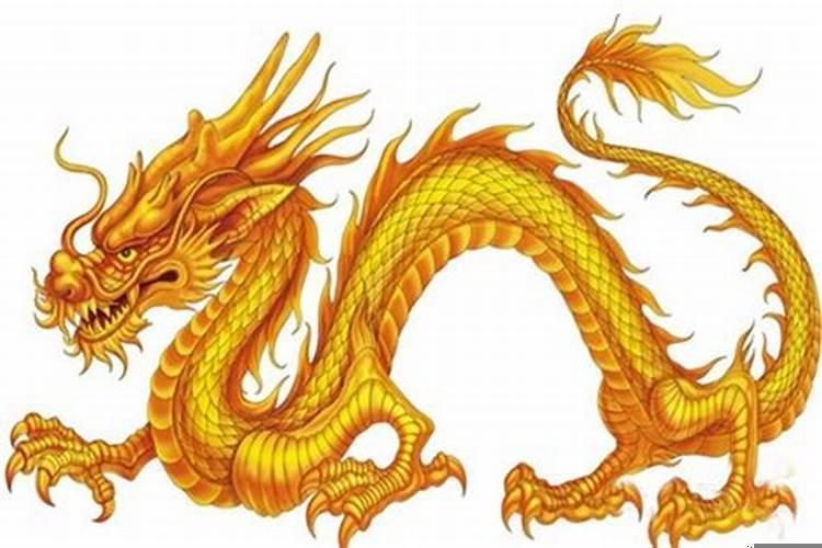 2023年属龙11月运势，2000年属龙2023年运势及运程