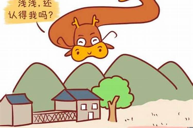 属龙人住几楼最好呢？属龙的住几楼最吉利层