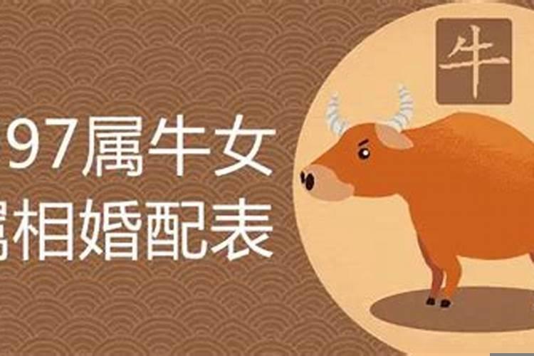 97年属牛女最佳婚配年份 1997年牛女配什么属相最好