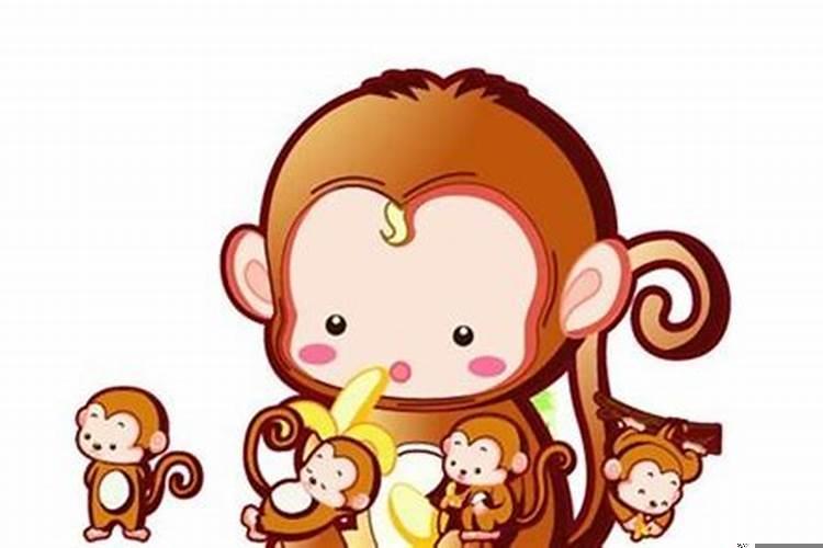 猴的婚姻属相配对，属猴和属猴的能婚配吗？属猴的和属猴的相配吗92跟92相配吗