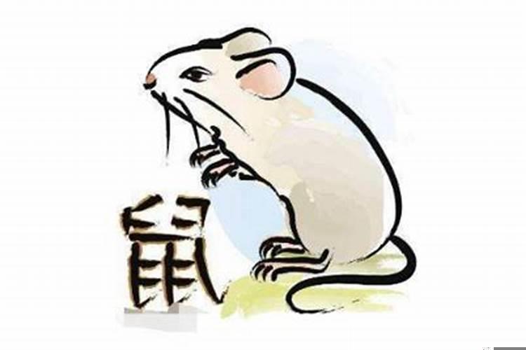 属鼠的女人为什么命不好？属鼠适合开什么店