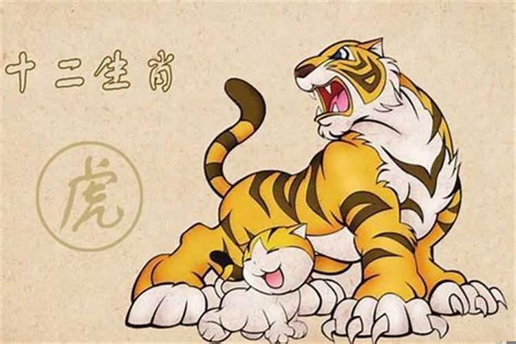 属虎的男和属虎的女婚姻相配吗？属虎男最喜欢哪些生肖女生