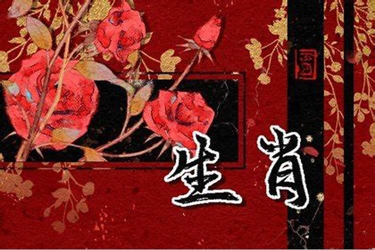 2023年对哪些属相比较好？什么属相好运又旺
