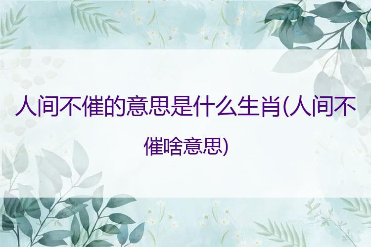 人间不催的意思是什么生肖