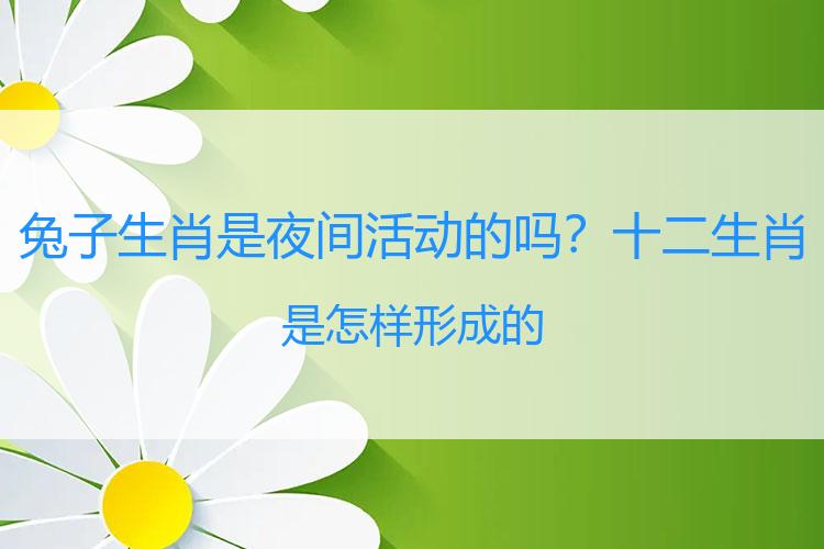 兔子生肖是夜间活动的吗？十二生肖是怎样形成的