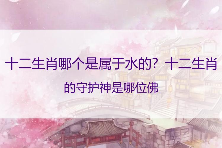 十二生肖哪个是属于水的？十二生肖的守护神是哪位佛